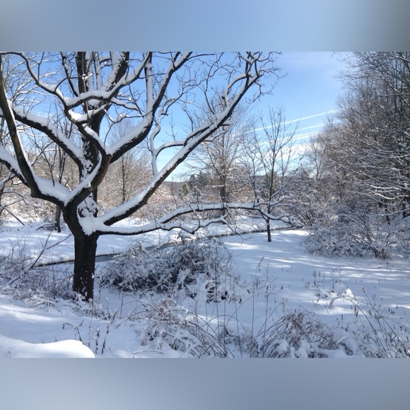 Patagonia Synchilla Off-White Fleece Half Zip pull over - Picture 9 of 10